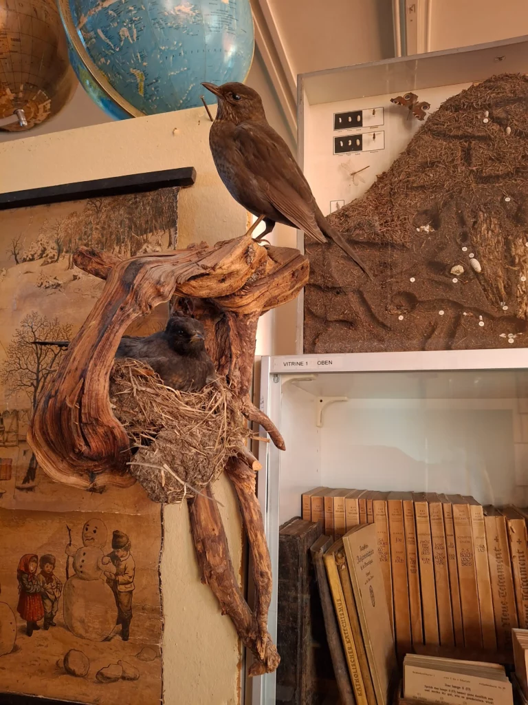 Anschauungsmaterial für den Naturkundeunterricht